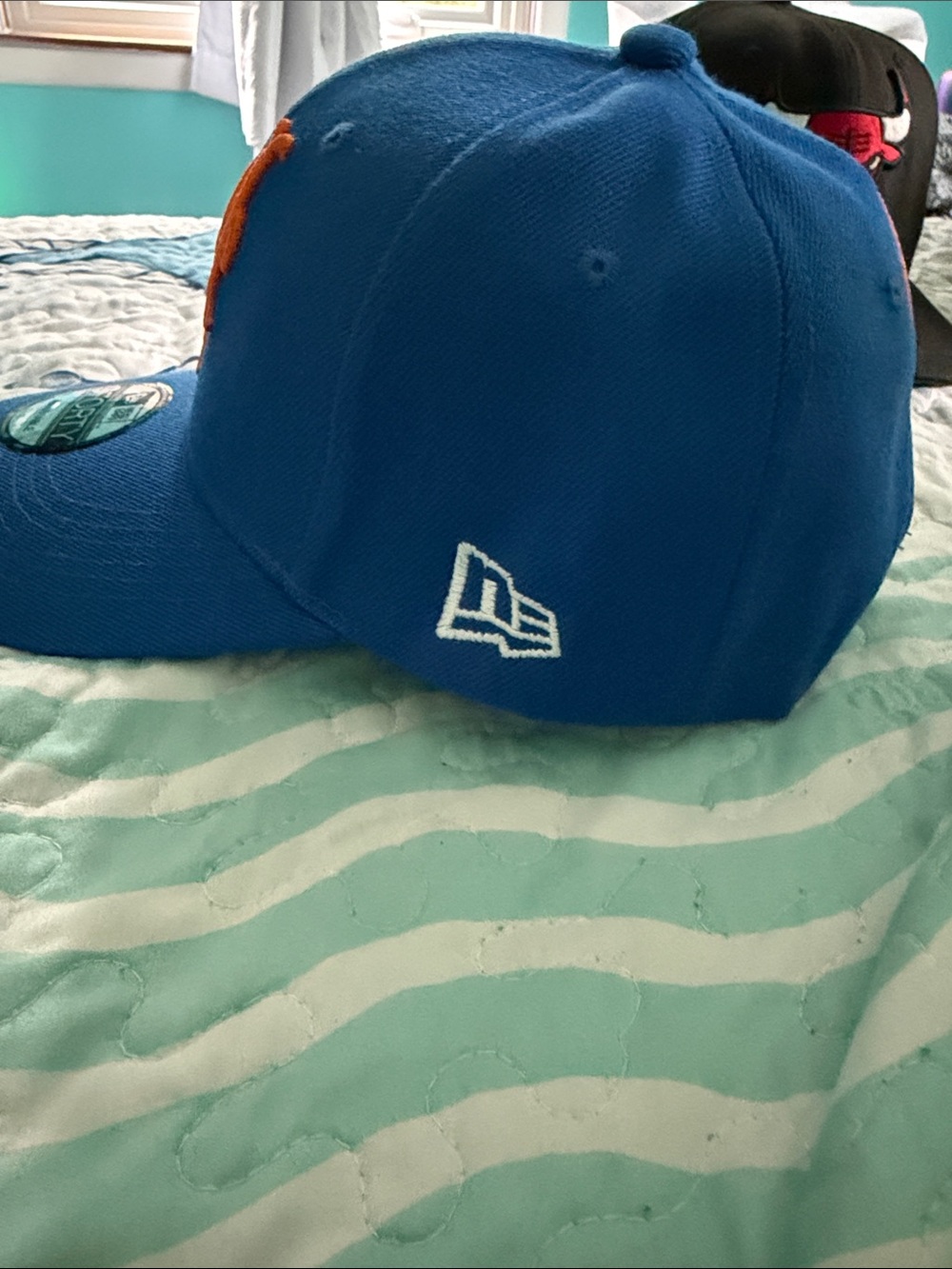 Hat lot, one size fits most - Picture 10 of 14